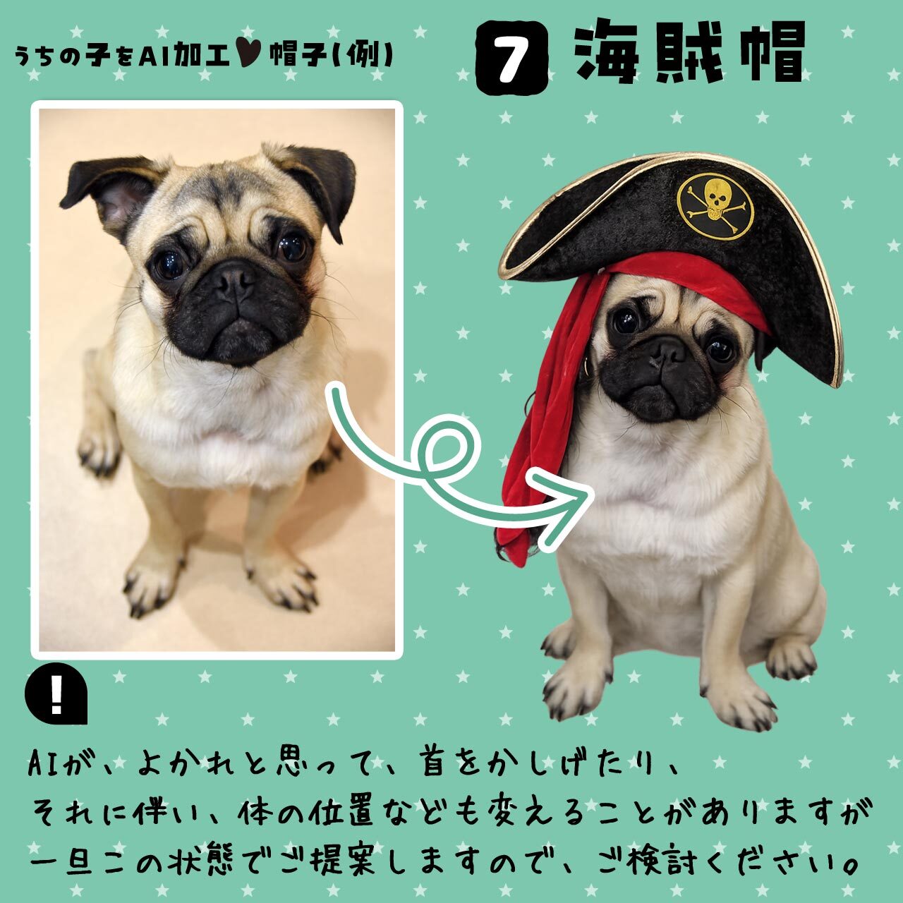 海賊の帽子★ワンちゃん