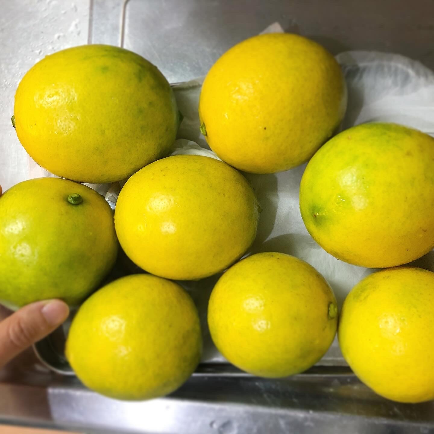 沖縄県産の丸いマイヤーレモン。
