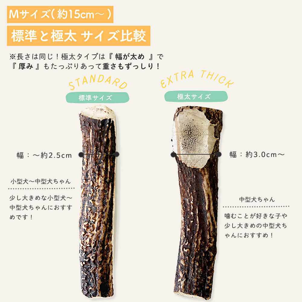 【 標準 】と【極太】サイズ比較