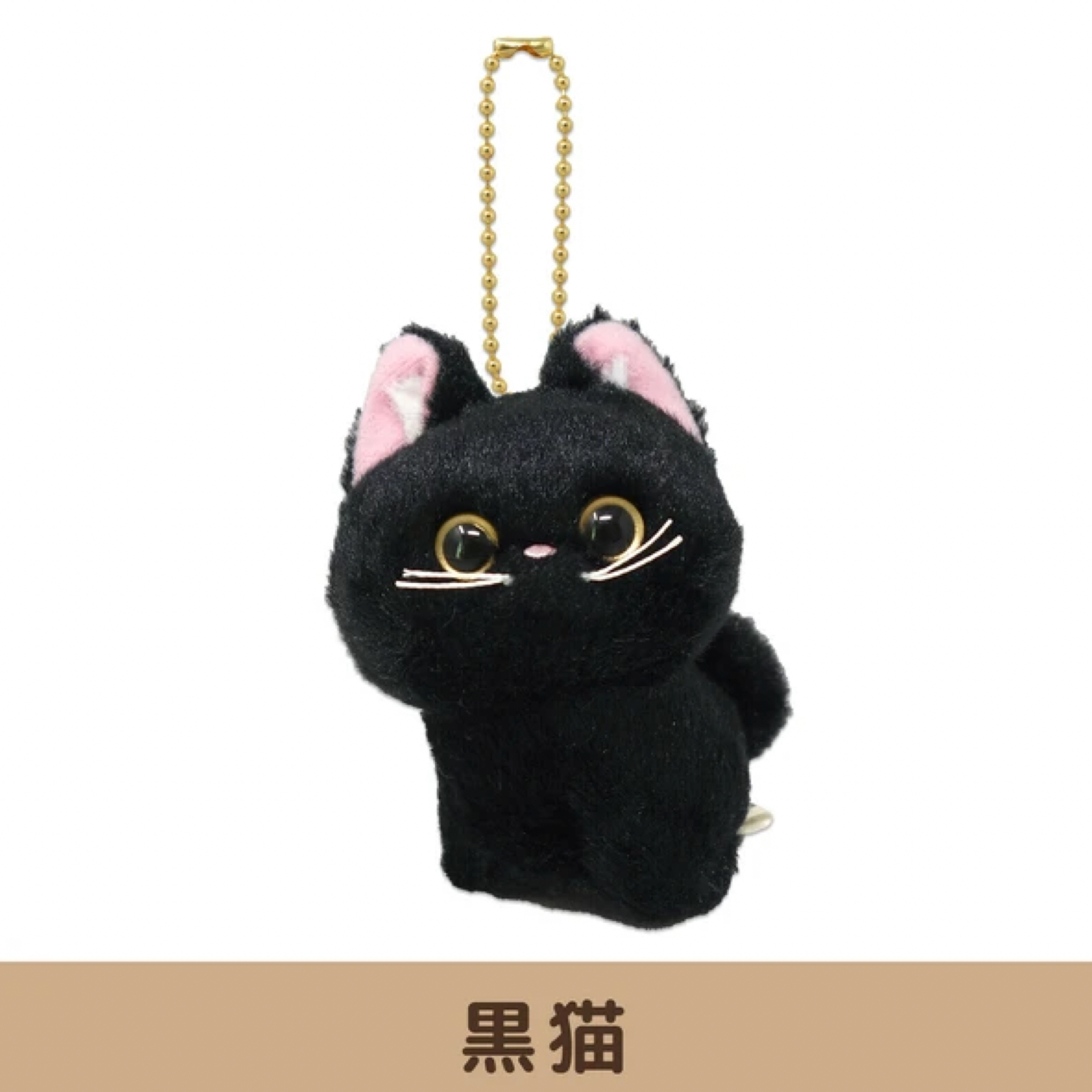 黒猫