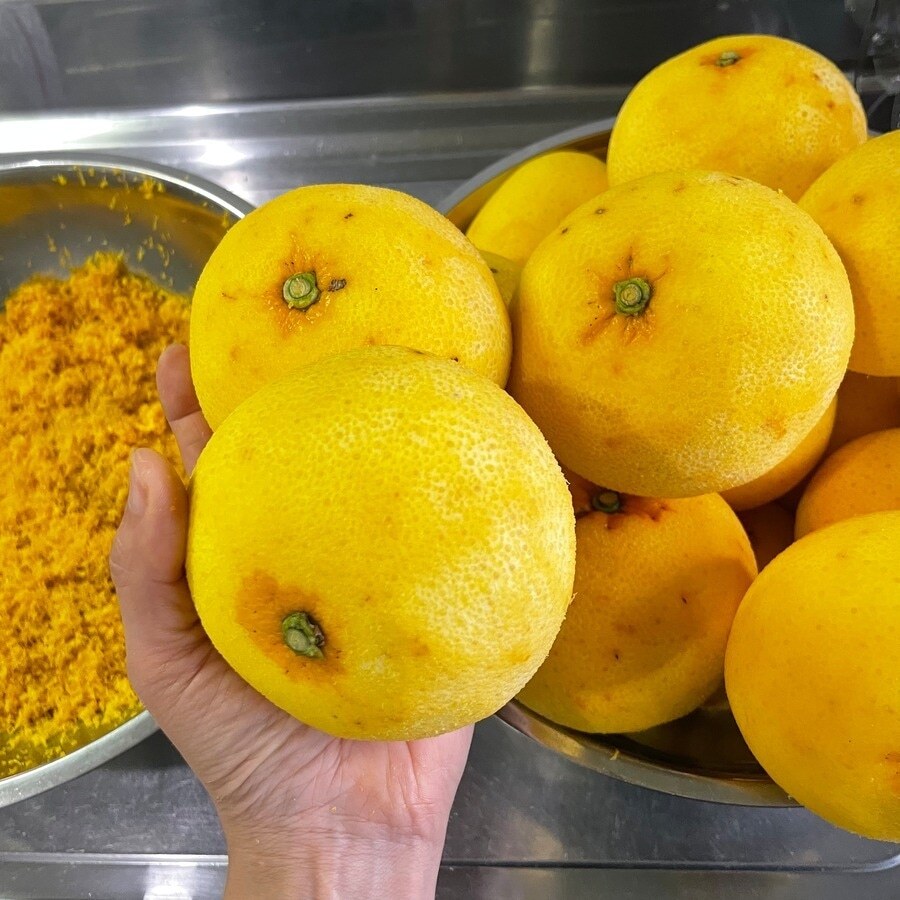 和歌山の甘夏でつくる自家製リキュール。