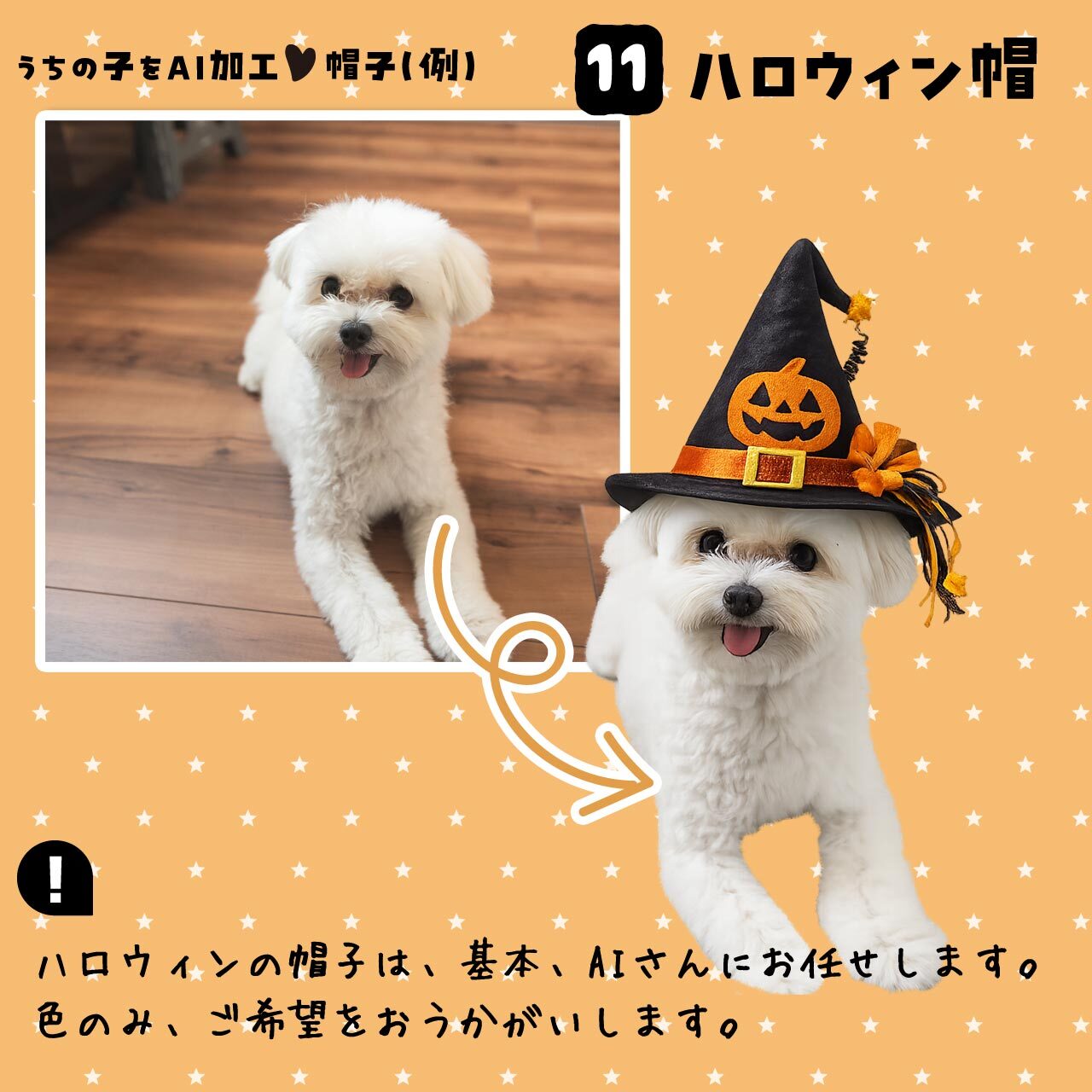ハロウィンの帽子★ワンちゃん