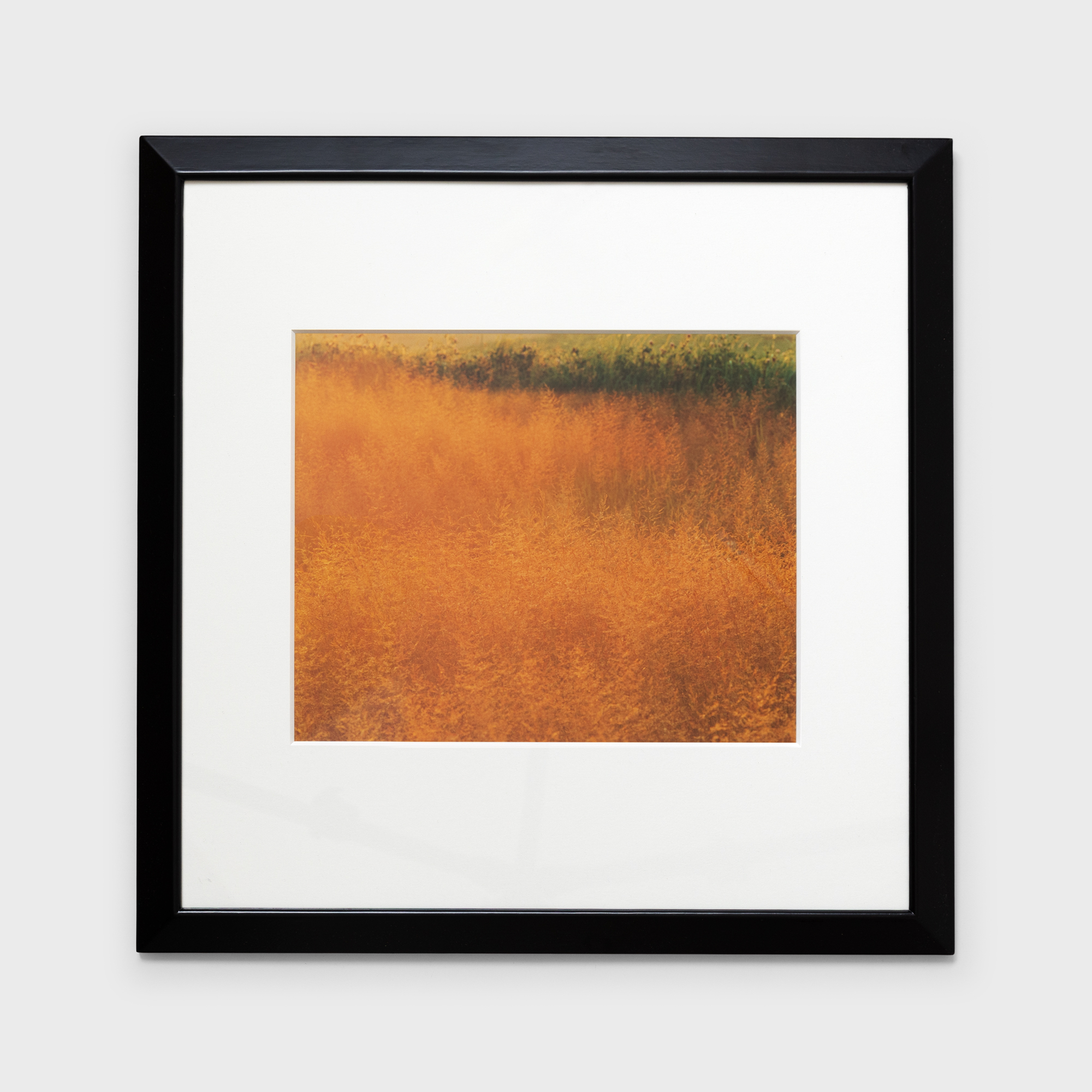 3　夕暮れに染まる　1986年8月下旬　美瑛町