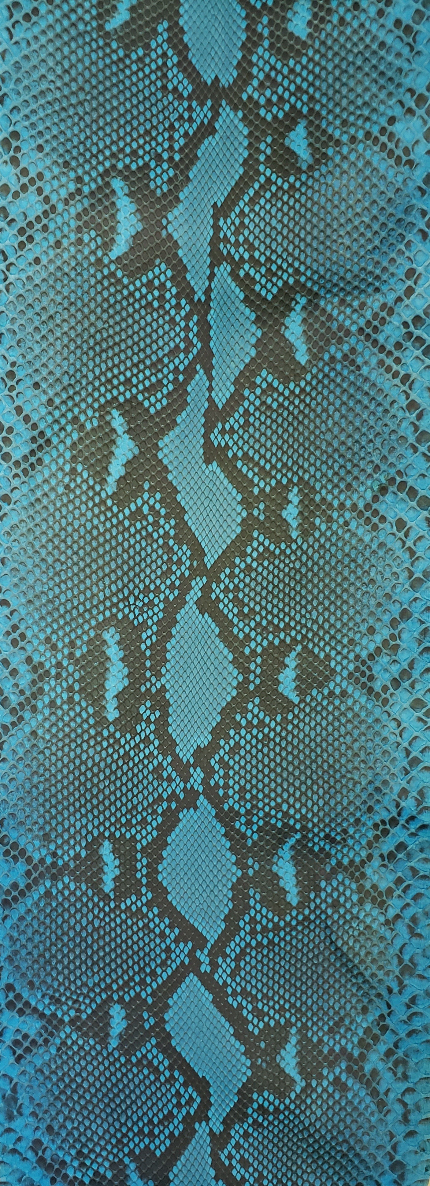 スカイ
