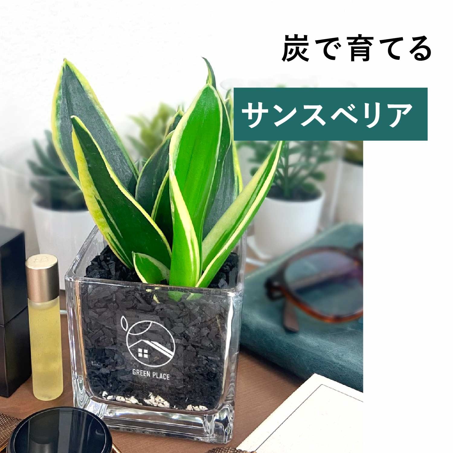 キューブ（四角）型の器