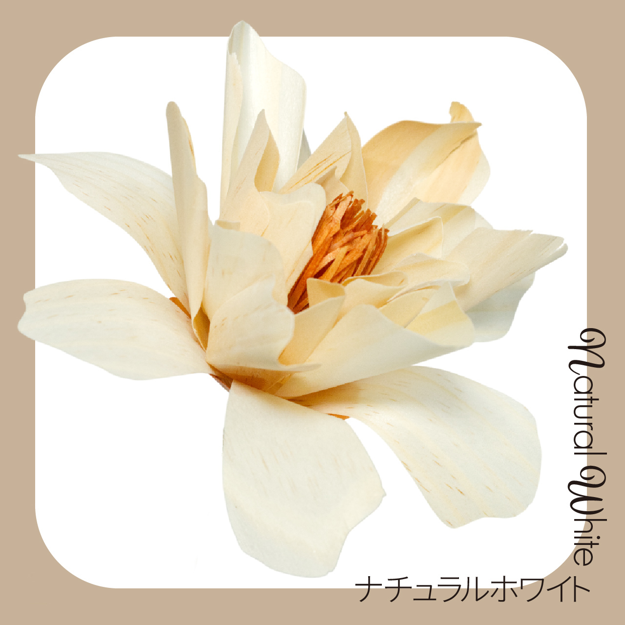 無着色の無垢な白。時間と共に味わい深い飴色へ経年変化し、一緒に過ごした分だけ愛着が湧く特別な色。