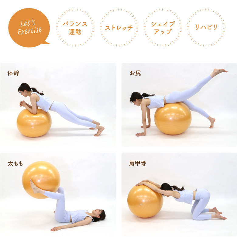 エクササイズボール65cm WBF065 | ALINCO FITNESS エクササイズボール65cm WBF065 | ALINCO FITNESS