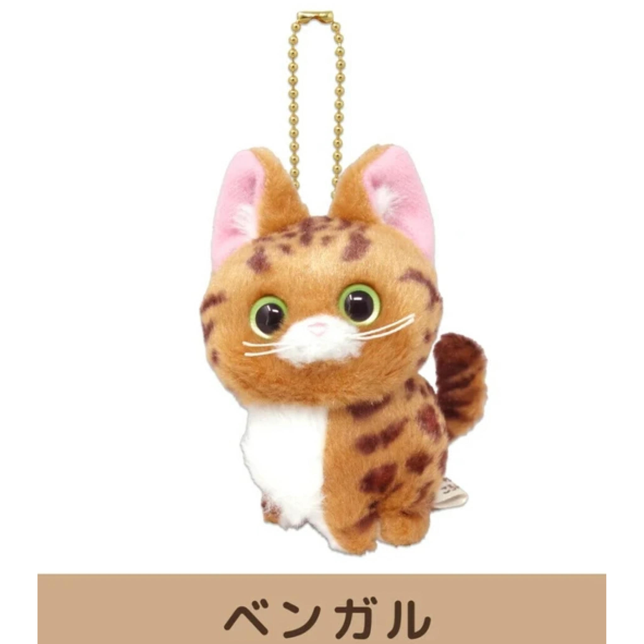 ベンガル