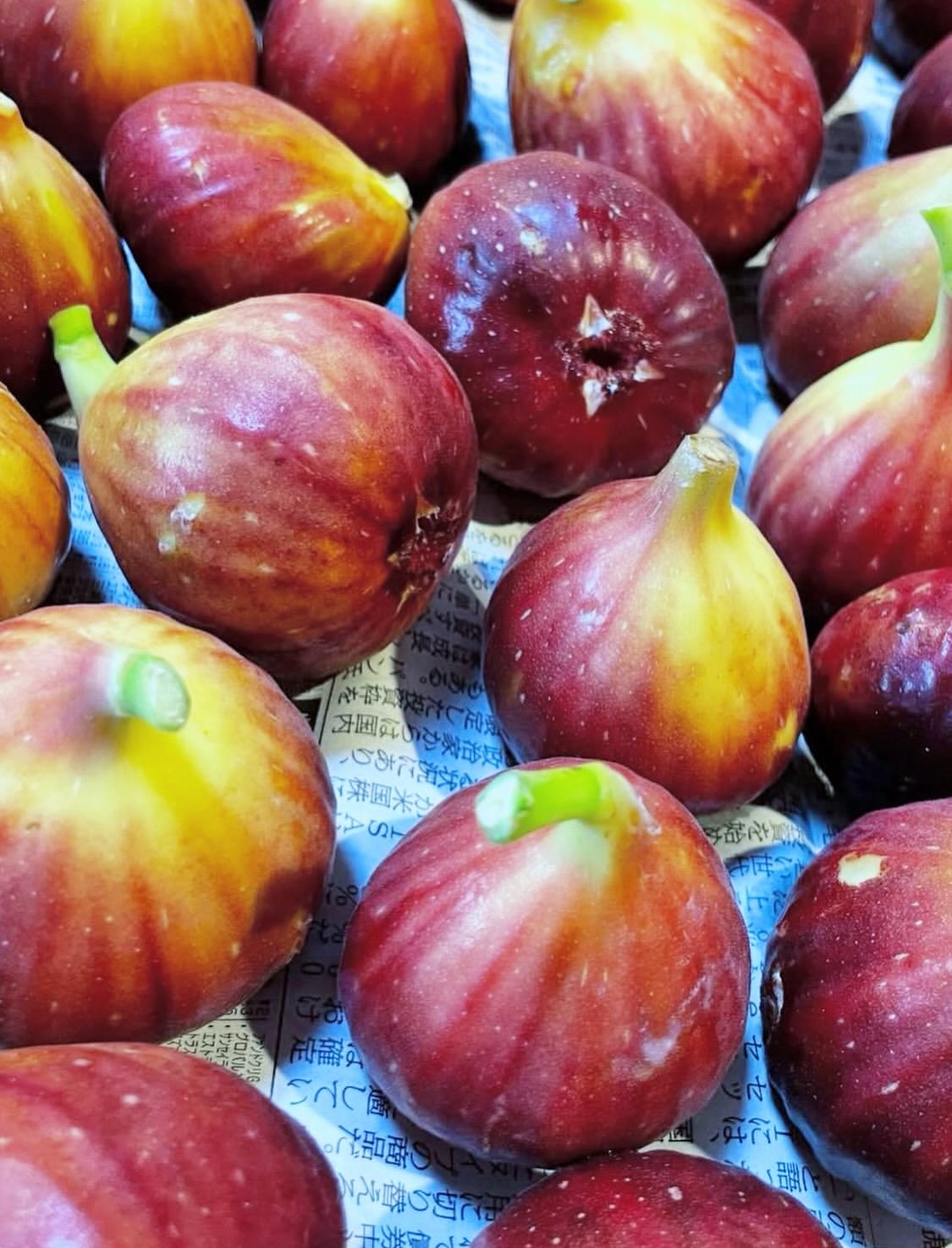 水を一滴も入れないよう、そっと洗って乾かします。