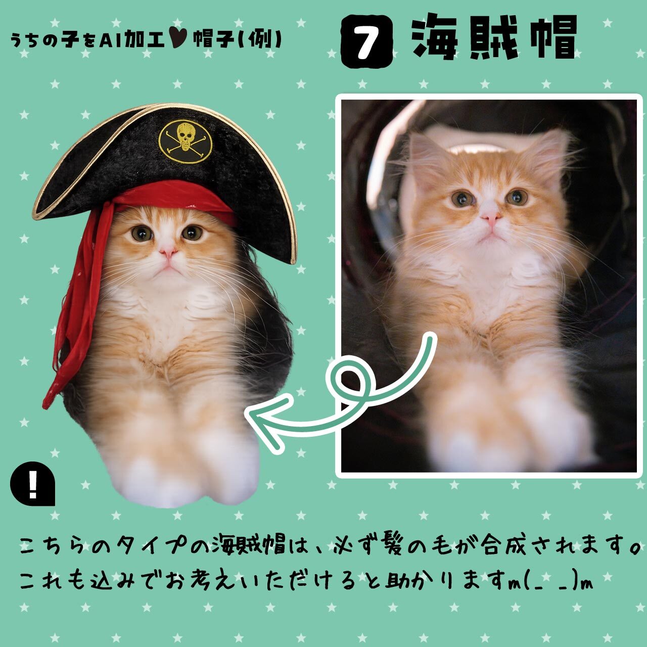 愛猫さんに海賊帽
