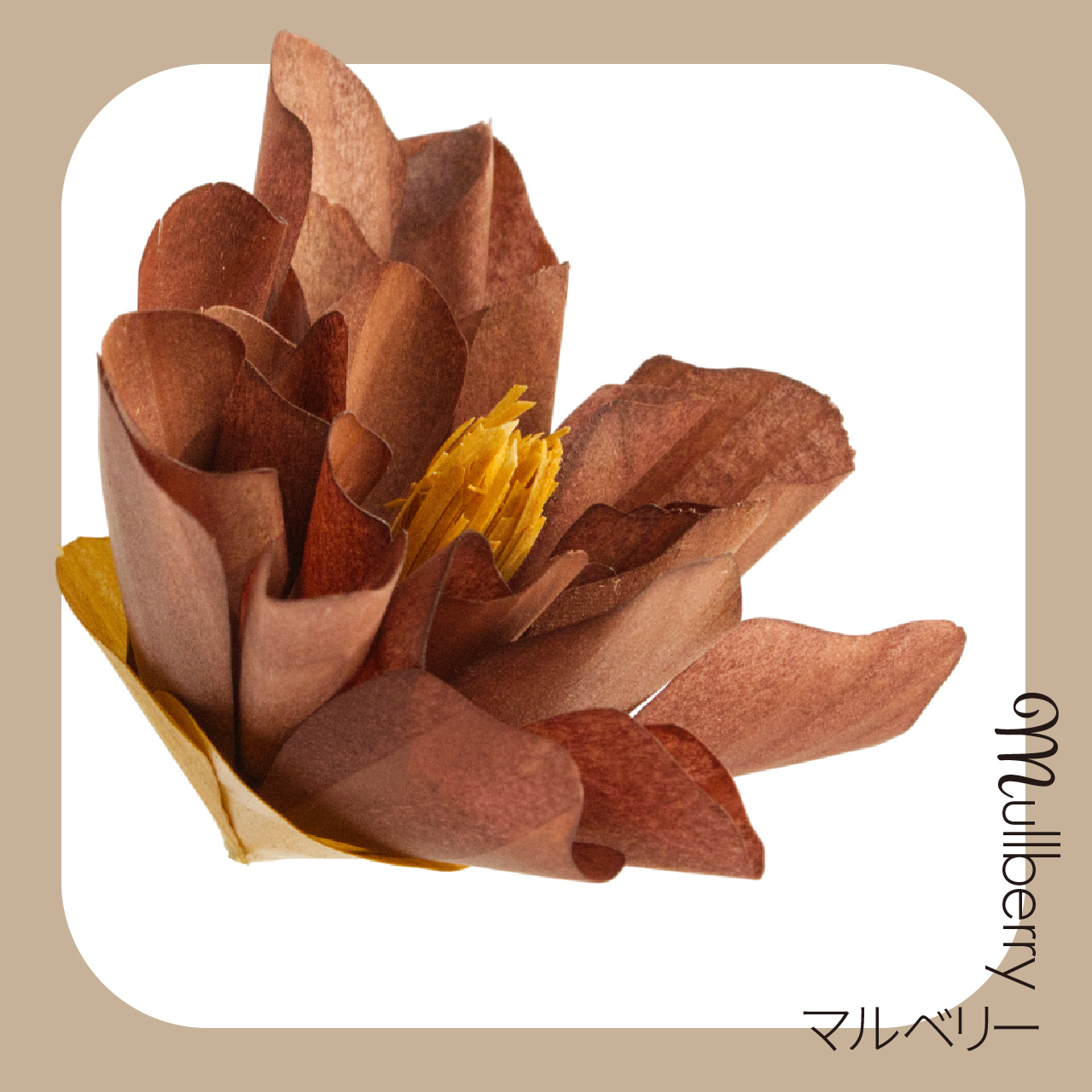 熟した桑の実のような深みある赤紫。温かくシックな色合いで、寝室や書斎に大人の華やかさと落ち着きを。