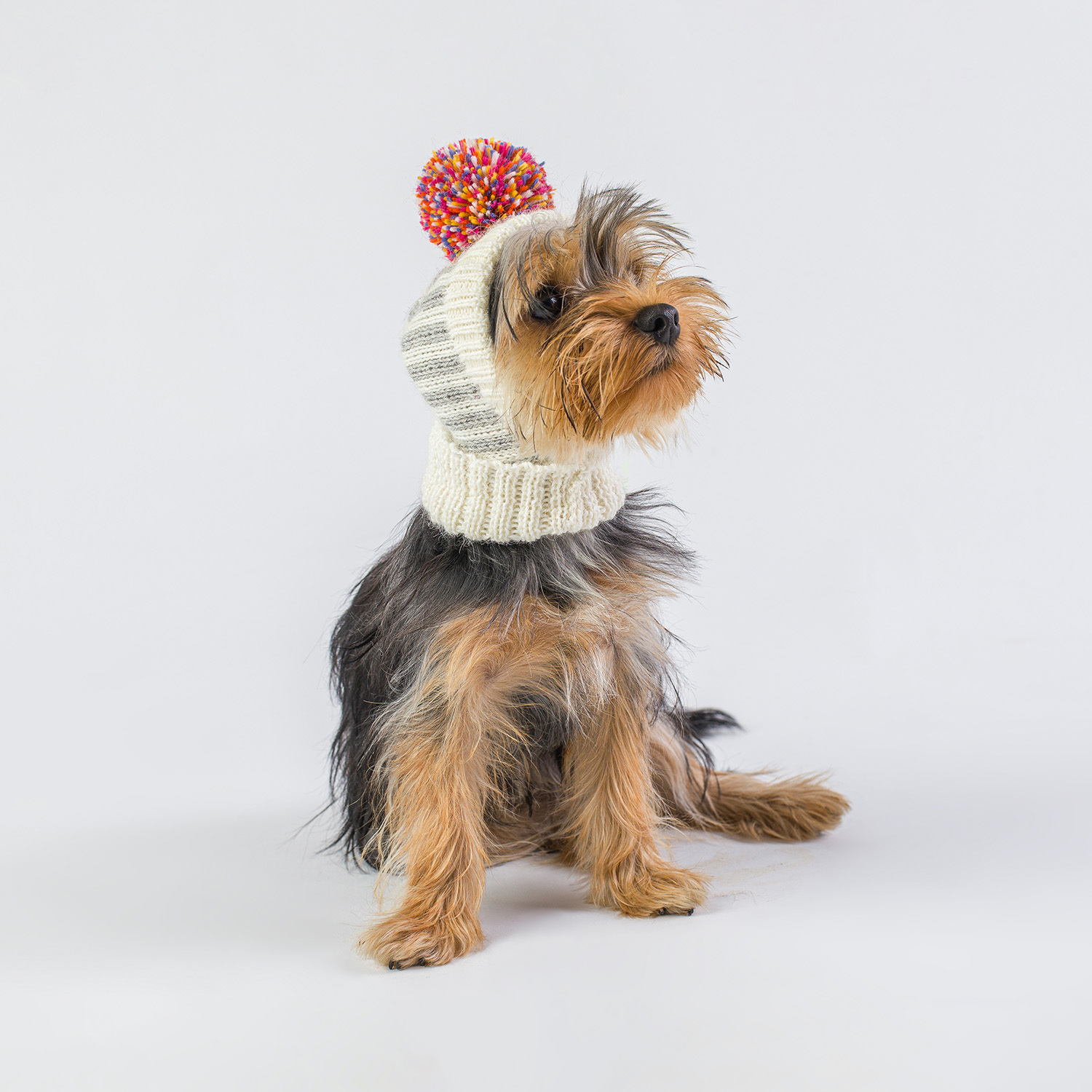 レインボーアルパカニット帽【Alqo Ｗasi】犬用帽子 | Sirius Essentials