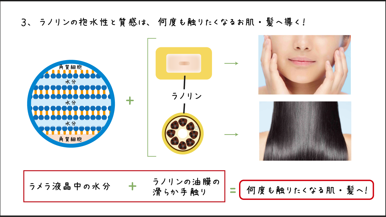 ラノリン アウトバストリートメント Whitelabo ホワイトラボ