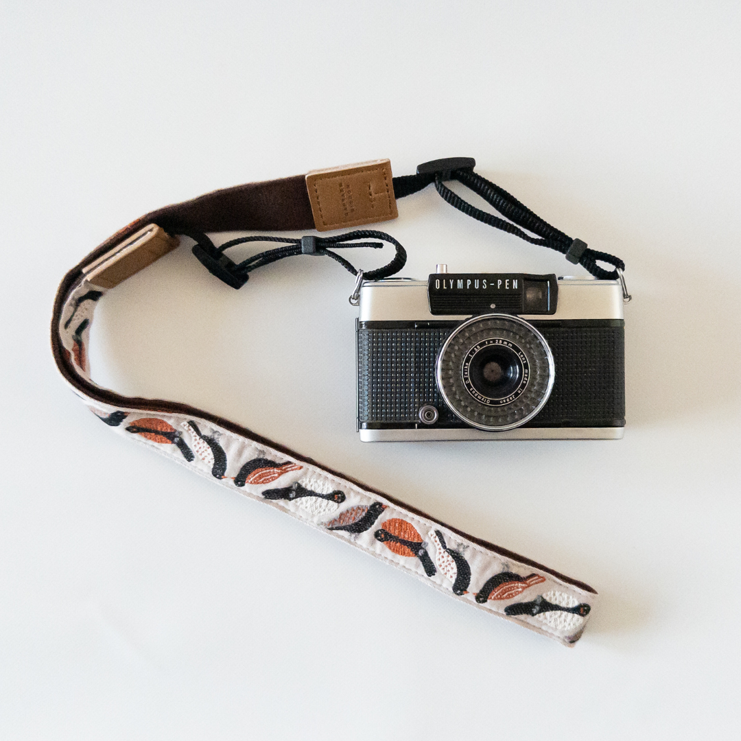 裏地：ブラウン