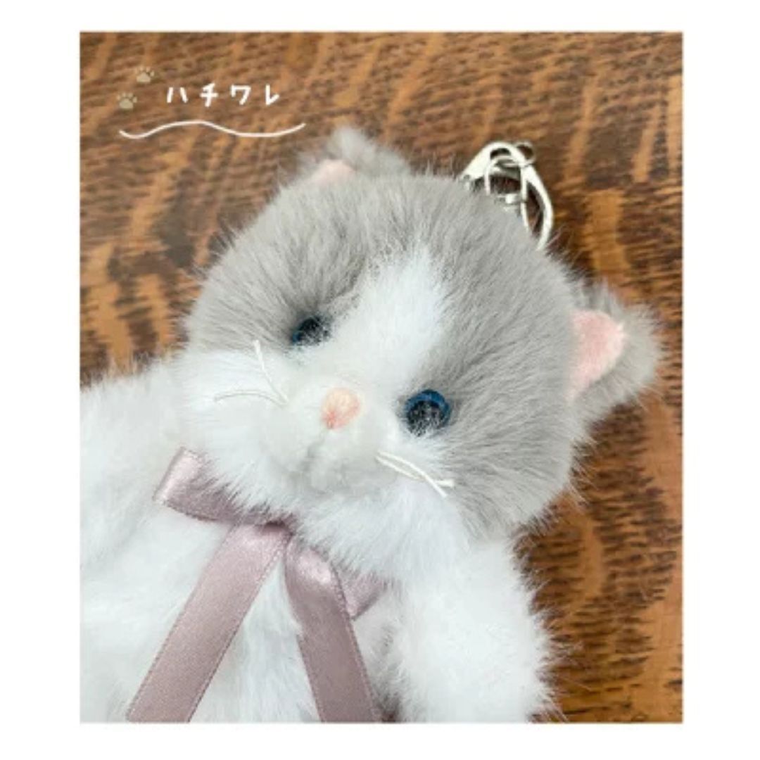 ハチワレ