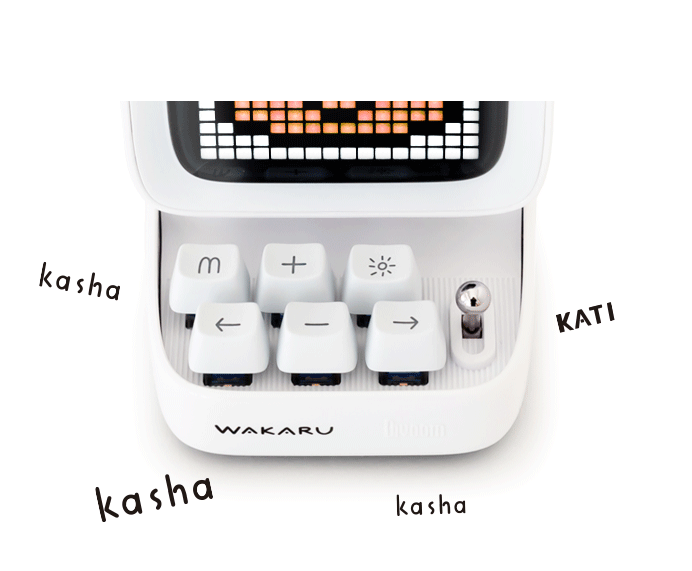 Ditoo わかる限定モデル 一般販売についてのご案内 Wisetech Ditoo わかる限定モデル 一般販売についてのご案内 Wisetech