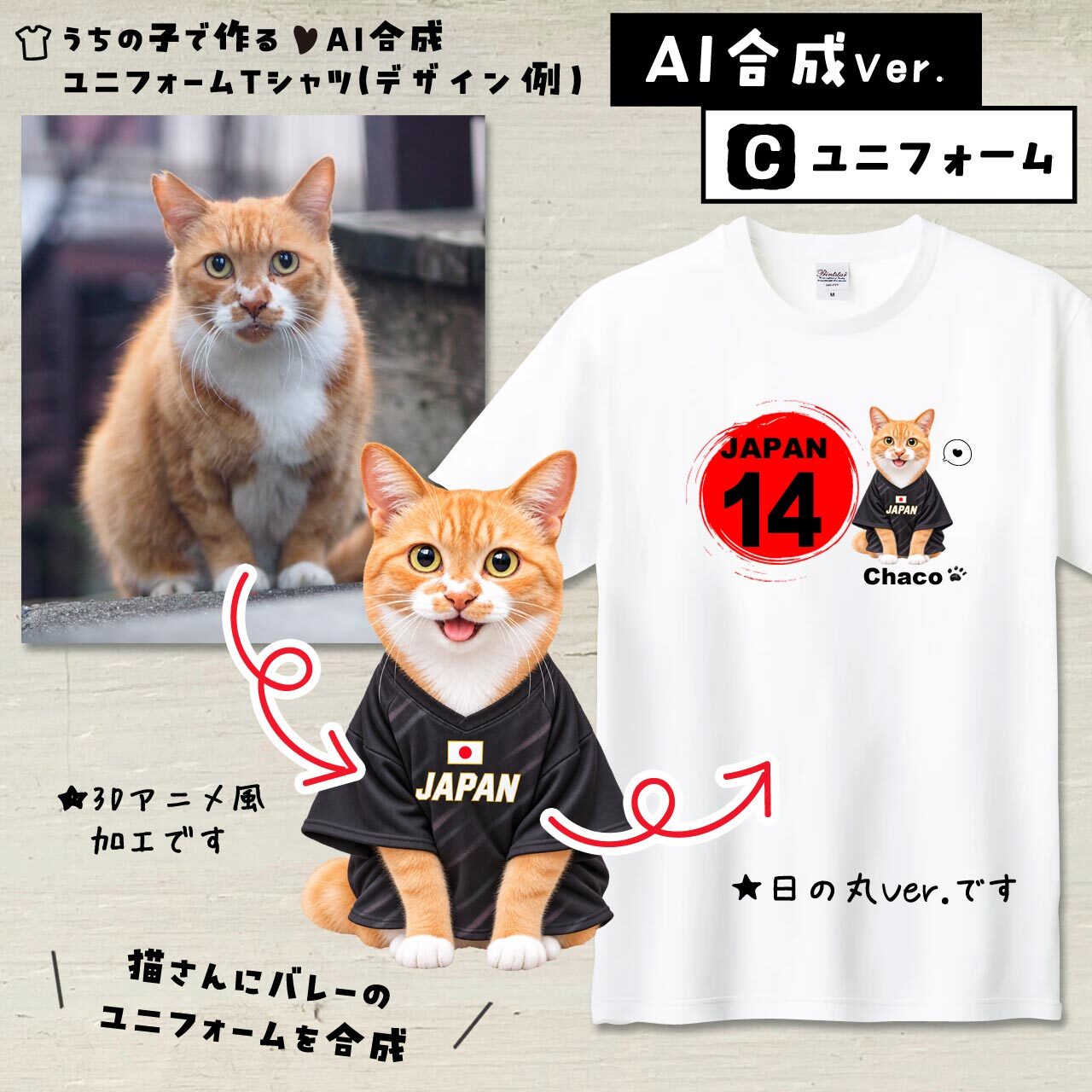バレーファンの猫さん