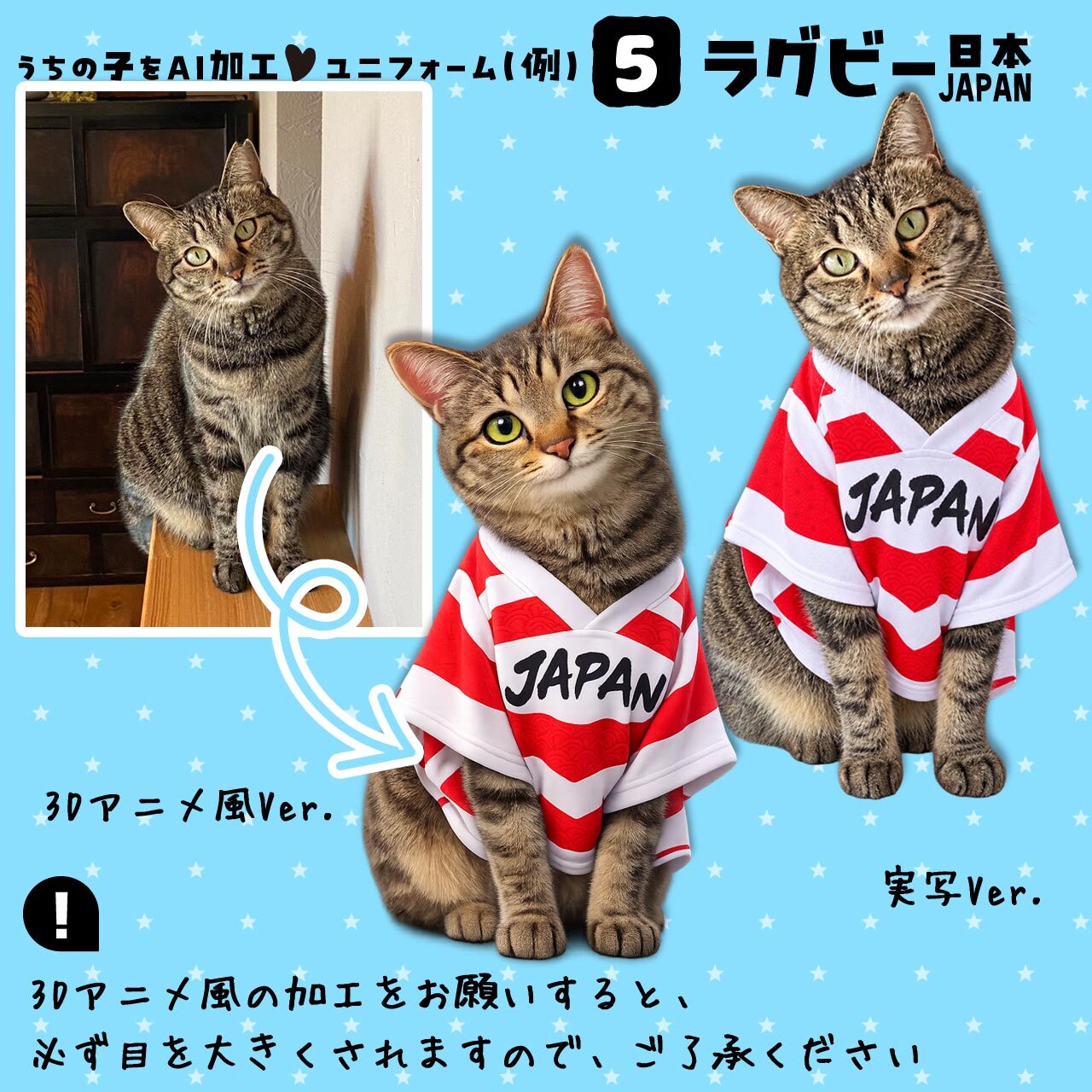 ラグビーファンの猫さん