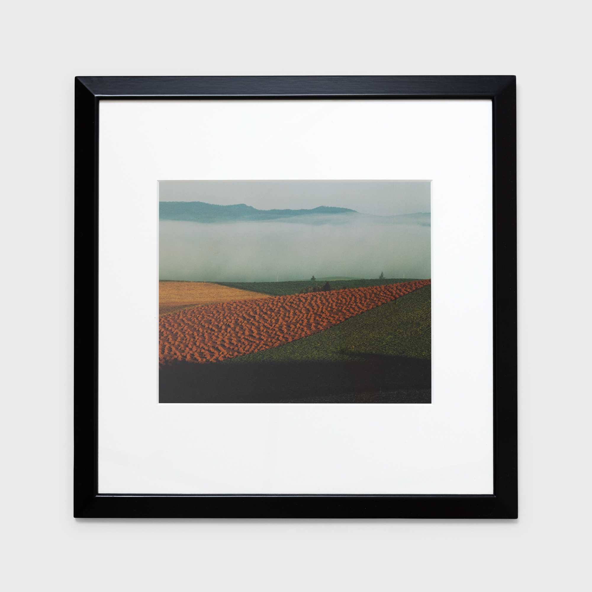 8　朝の大地　1985年10月上旬　美瑛町