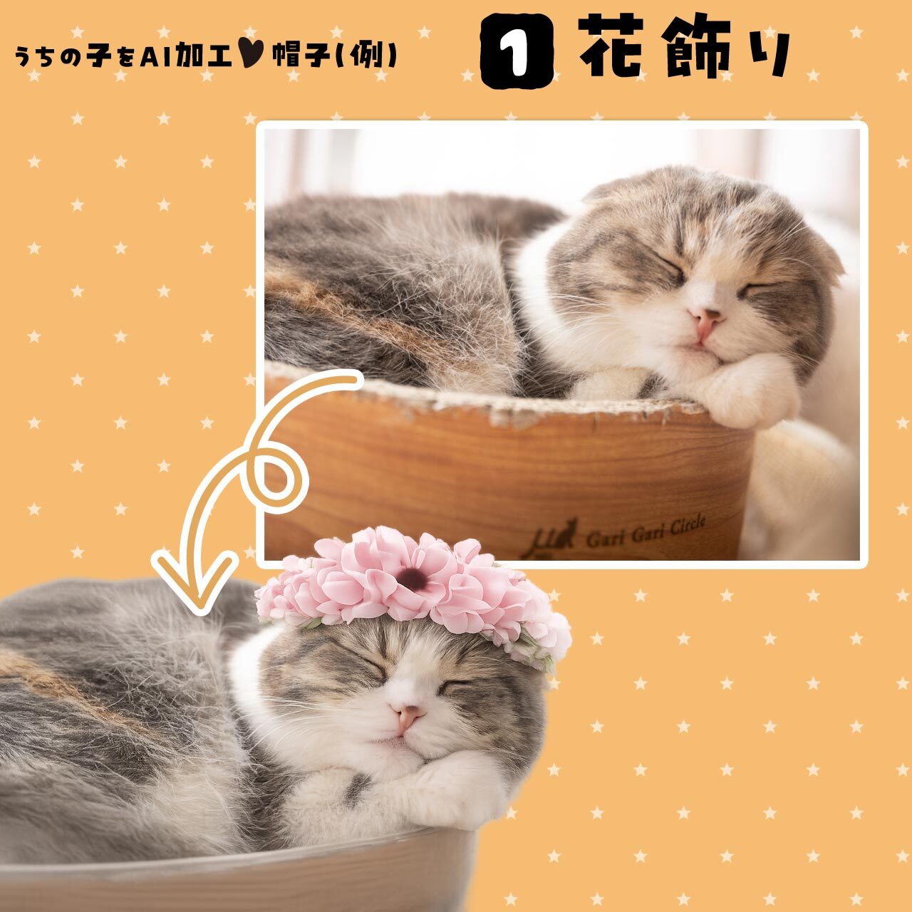 猫さんに花飾りを
