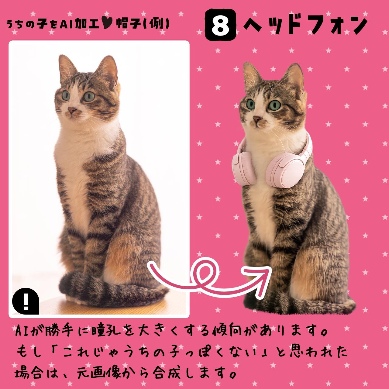愛猫さんにヘッドフォン♪