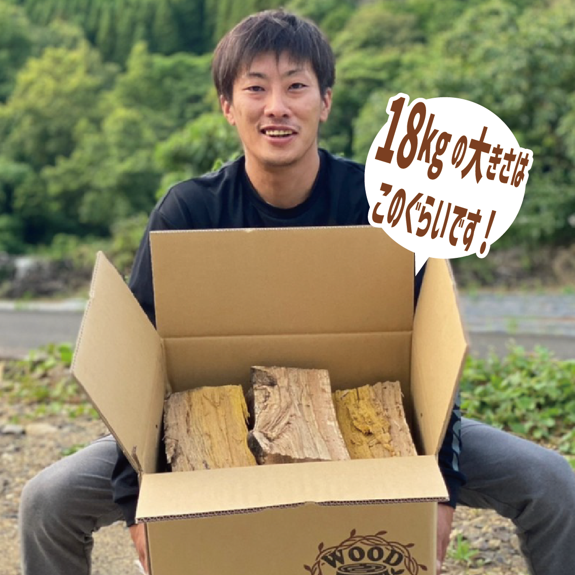広葉樹良品＞高級カシ材【18.0kg】 | woodlifekoj