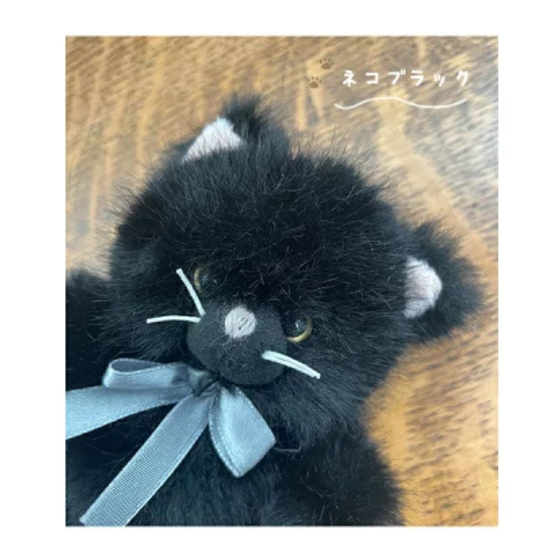 ネコブラック