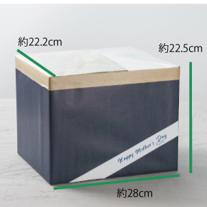 パッケージサイズ