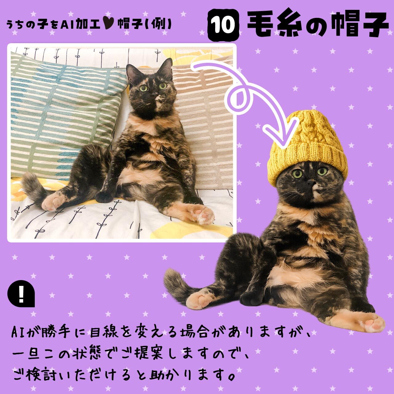 猫さんに毛糸の帽子