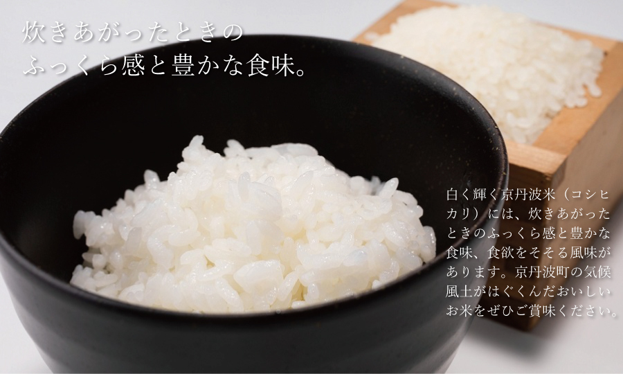 AK001N 特別栽培米 コシヒカリ 京丹波米 5kg 京都 京丹波町産 米 精米
