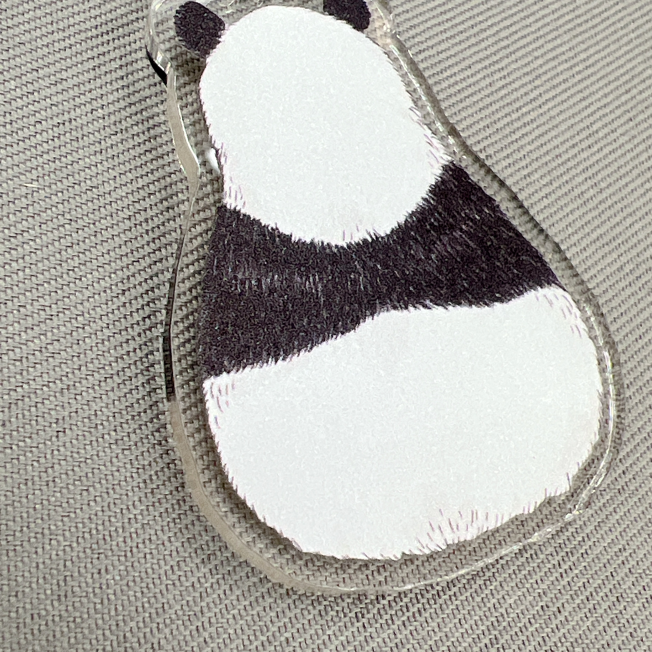 裏面は少しザラザラしたプリント