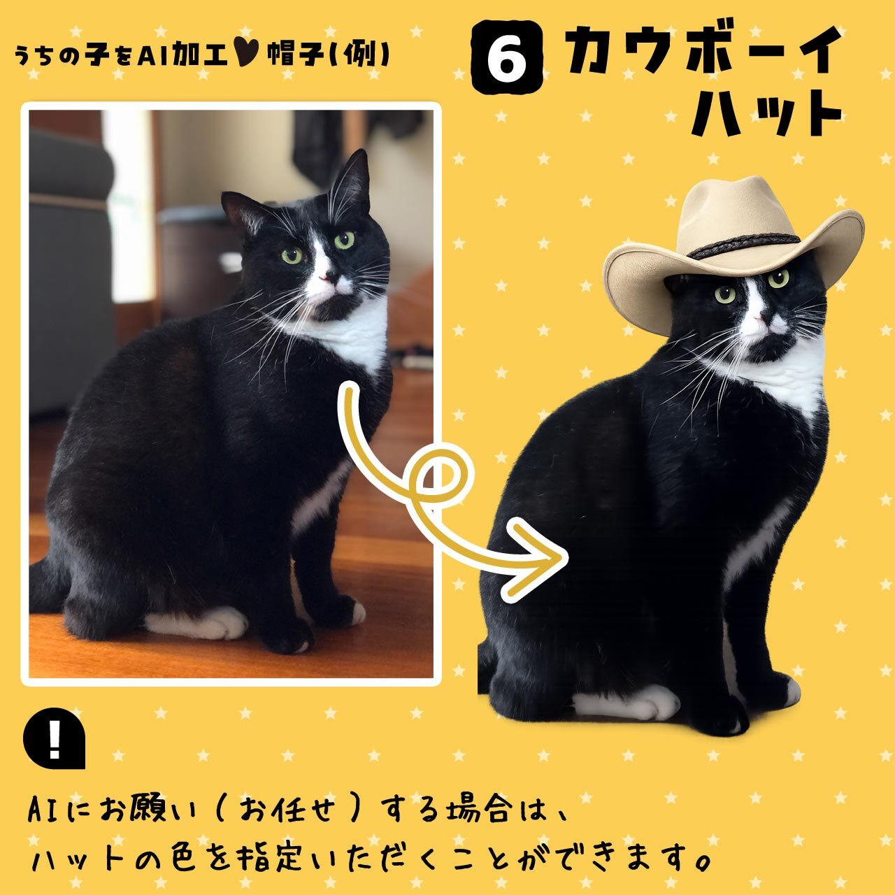 猫さんにカウボーイハット