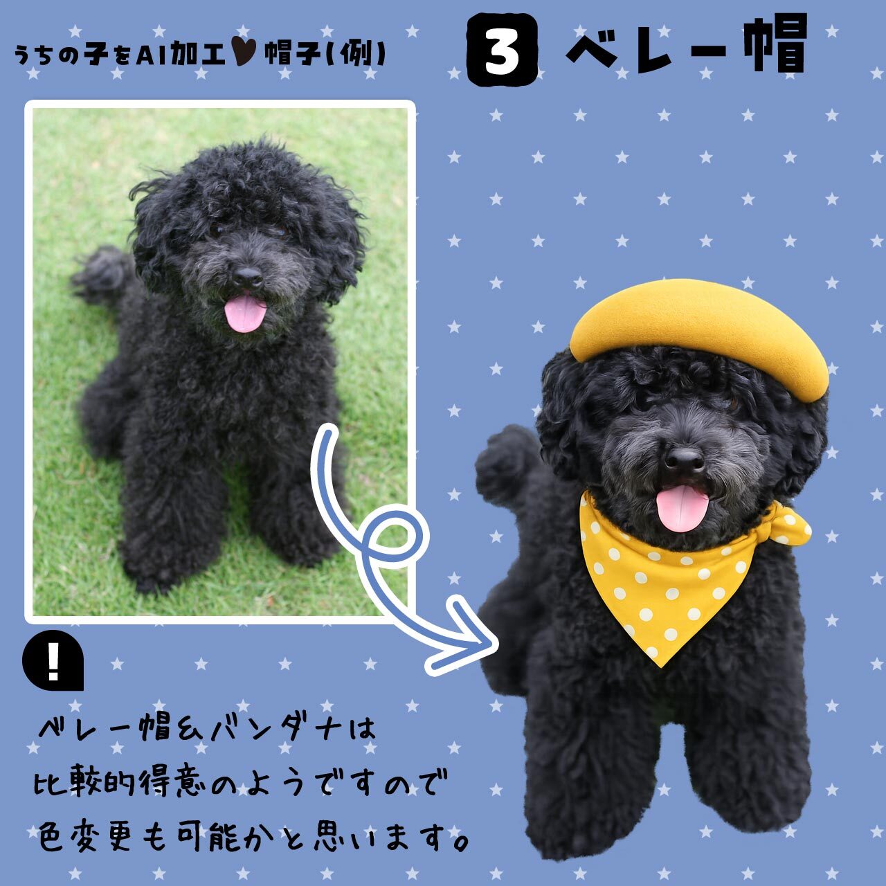 ベレー帽★ワンちゃん