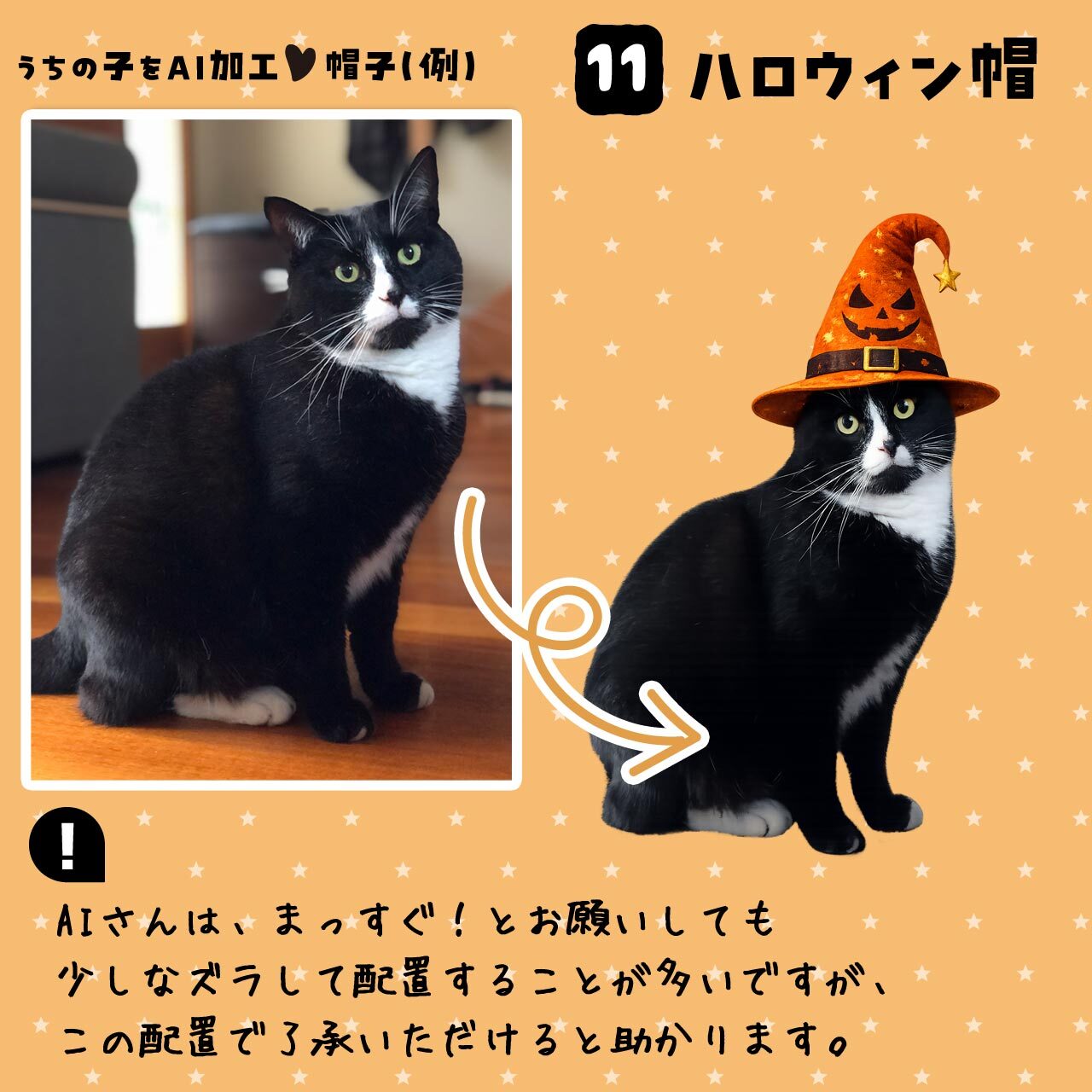愛猫さんにハロウィンの帽子