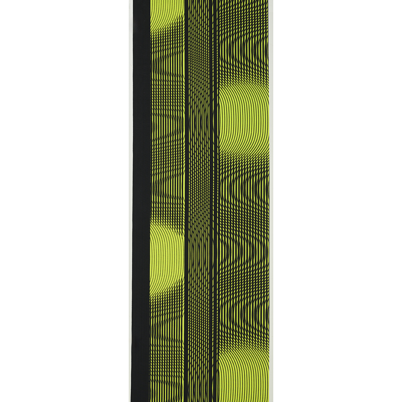 No.56 BLACK×YELLOW×GREEN