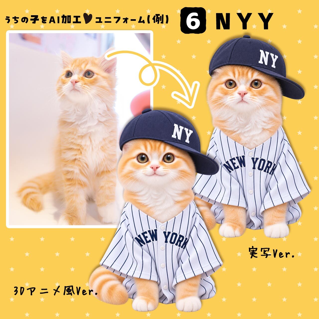 ヤンキースファンの猫さん