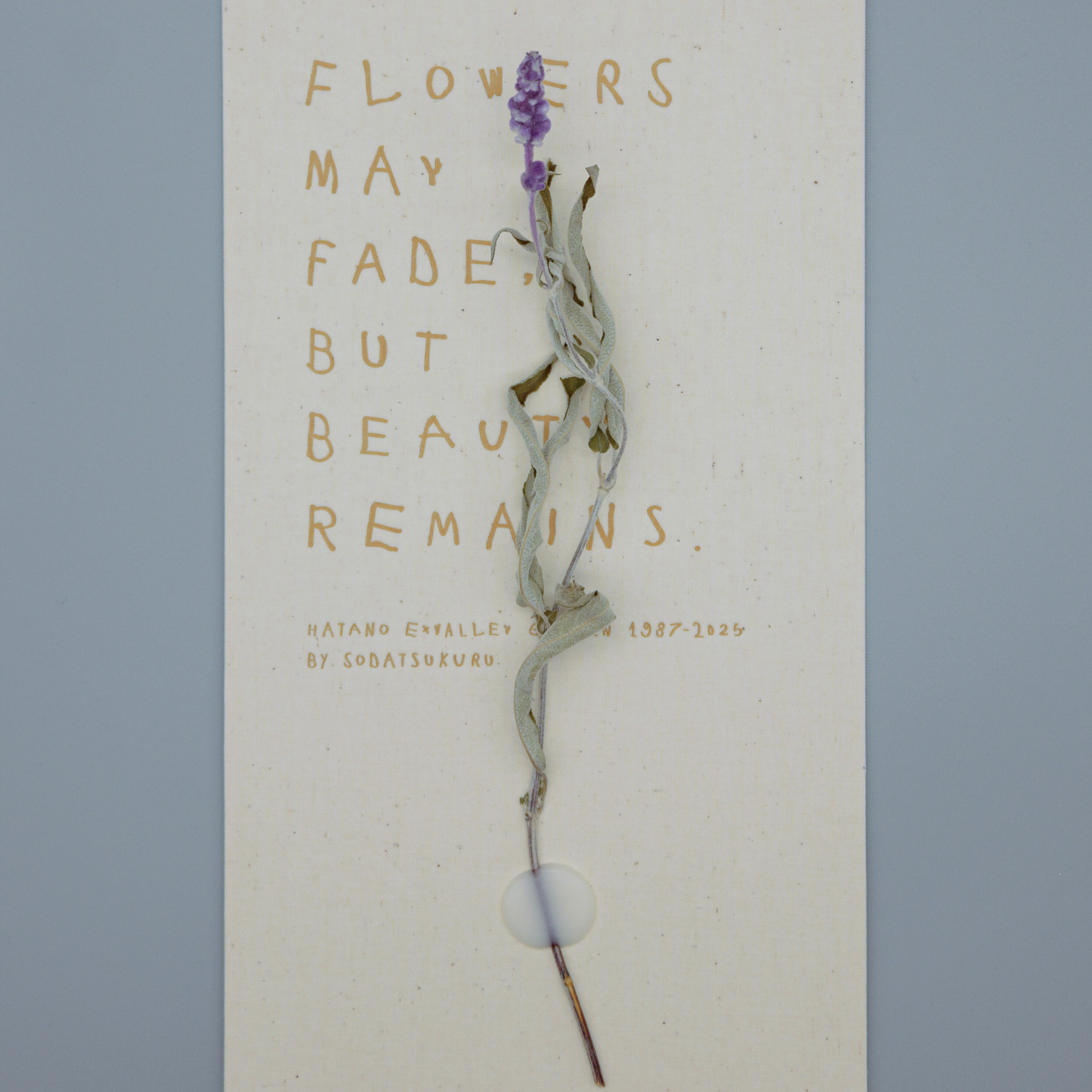 アメジストセージ