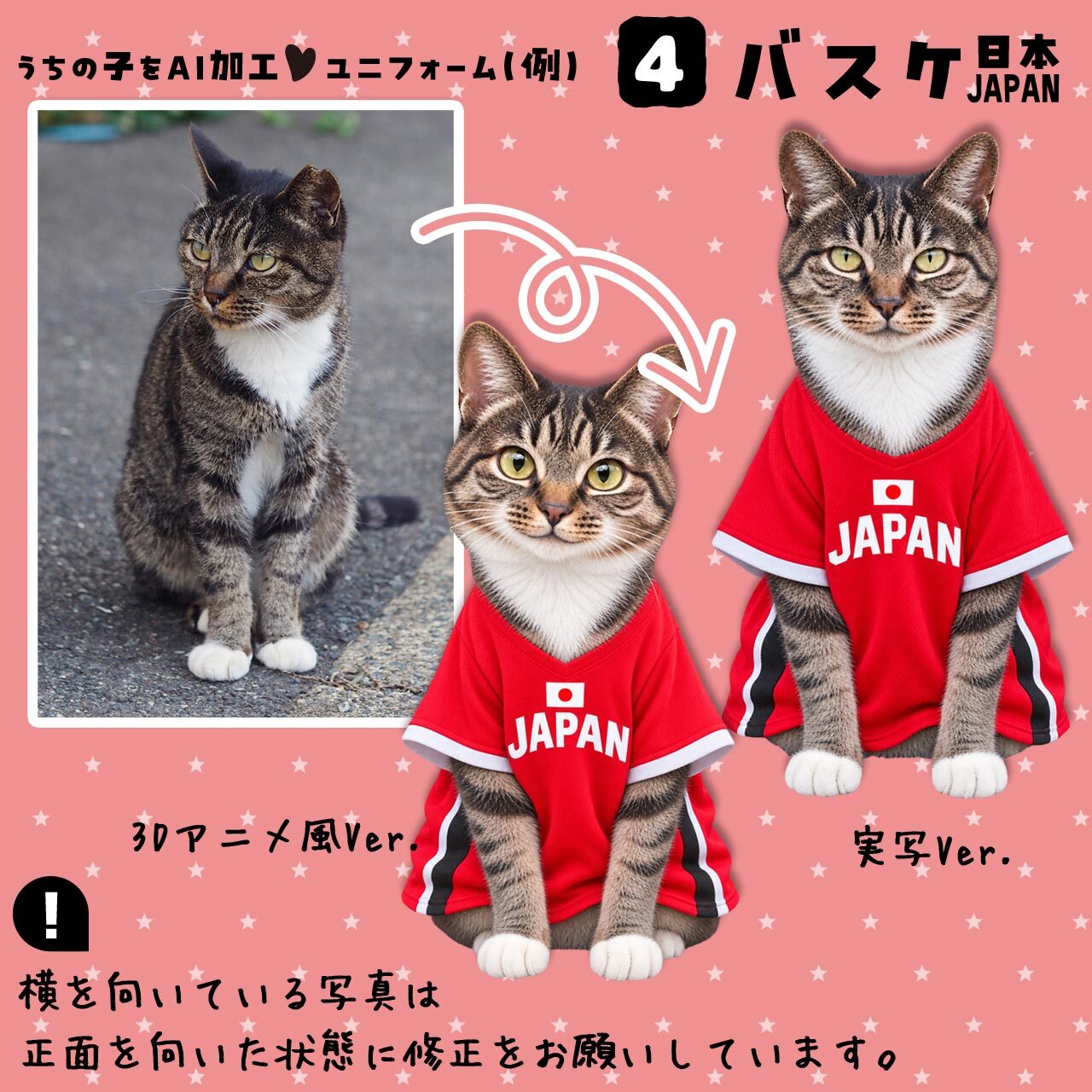 バスケファンの猫さん
