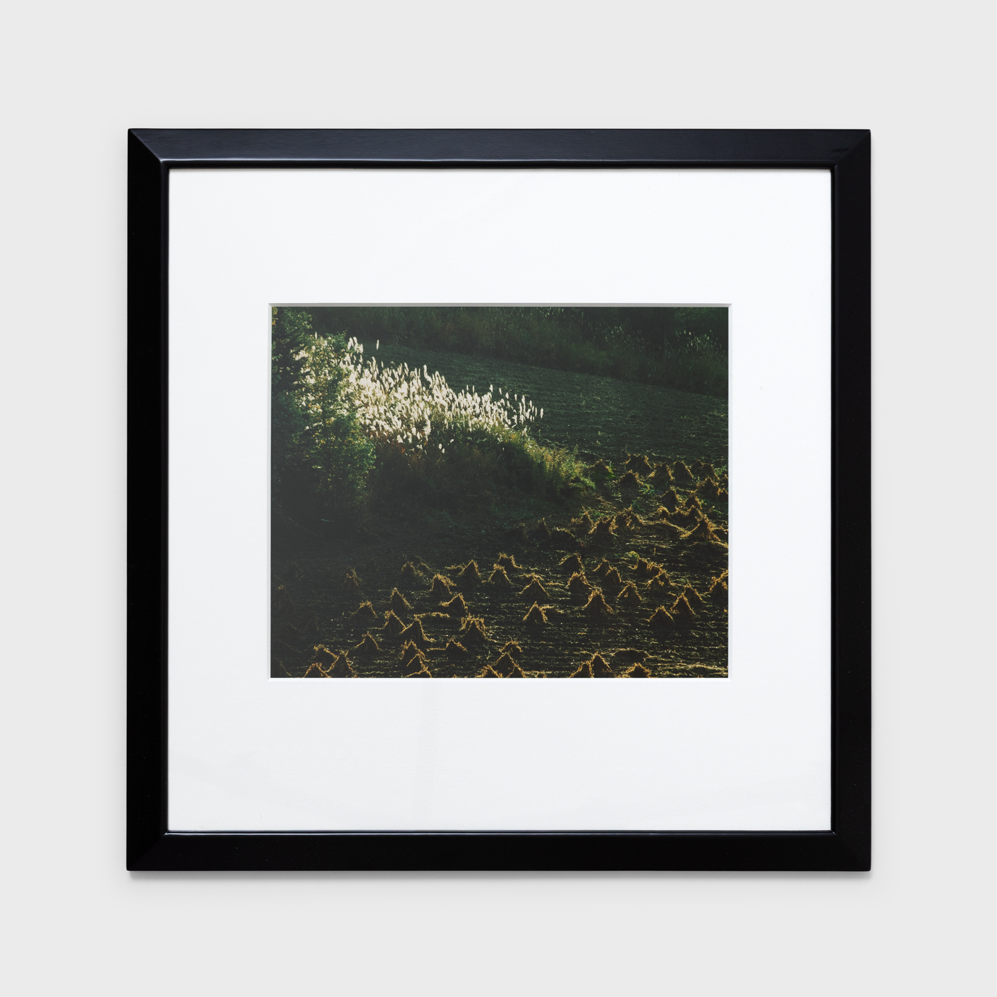 10　暮れゆく秋の日　1987年10月下旬　美瑛町