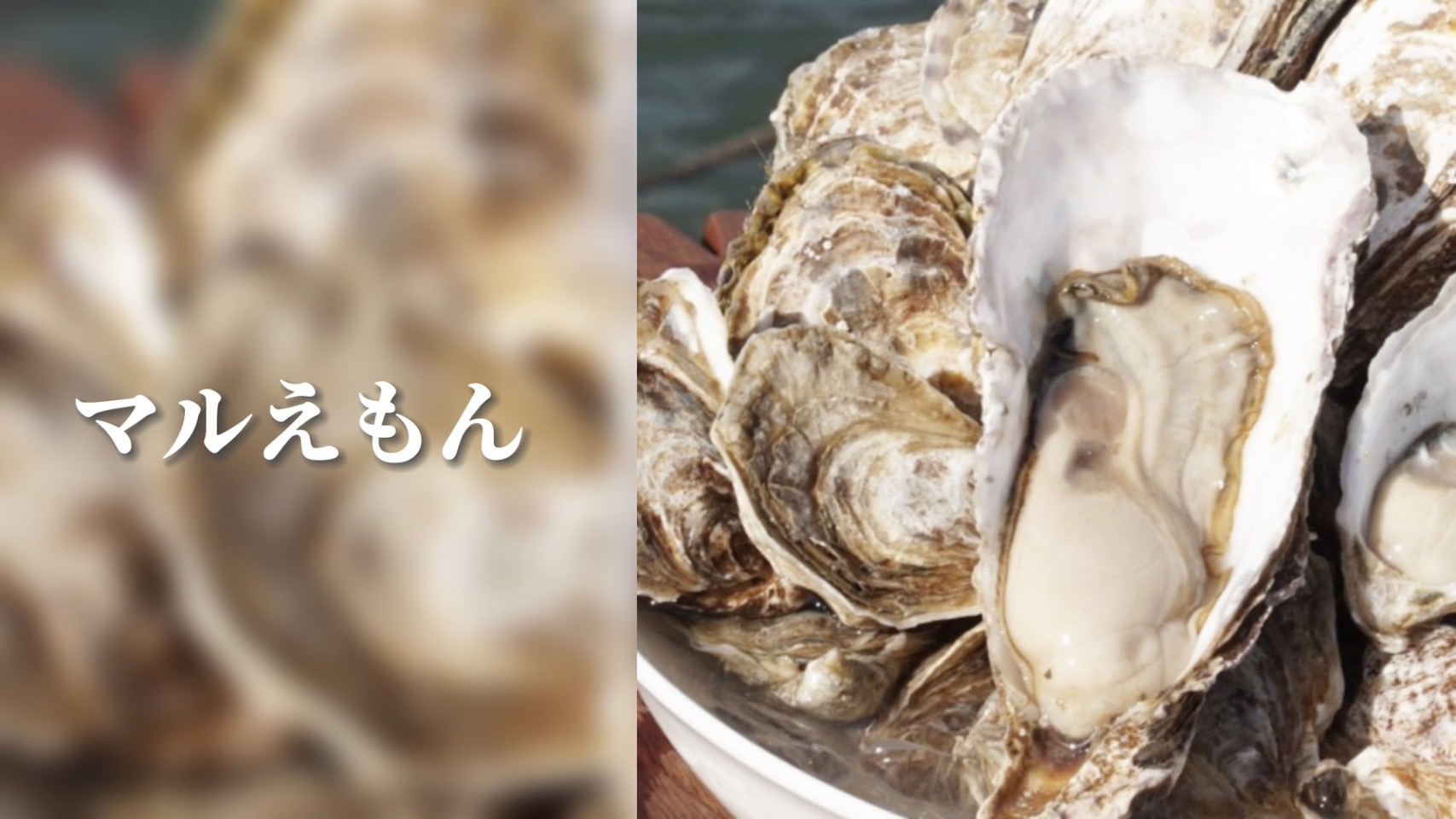 ギフト 北海道厚岸産本養殖牡蠣生食用