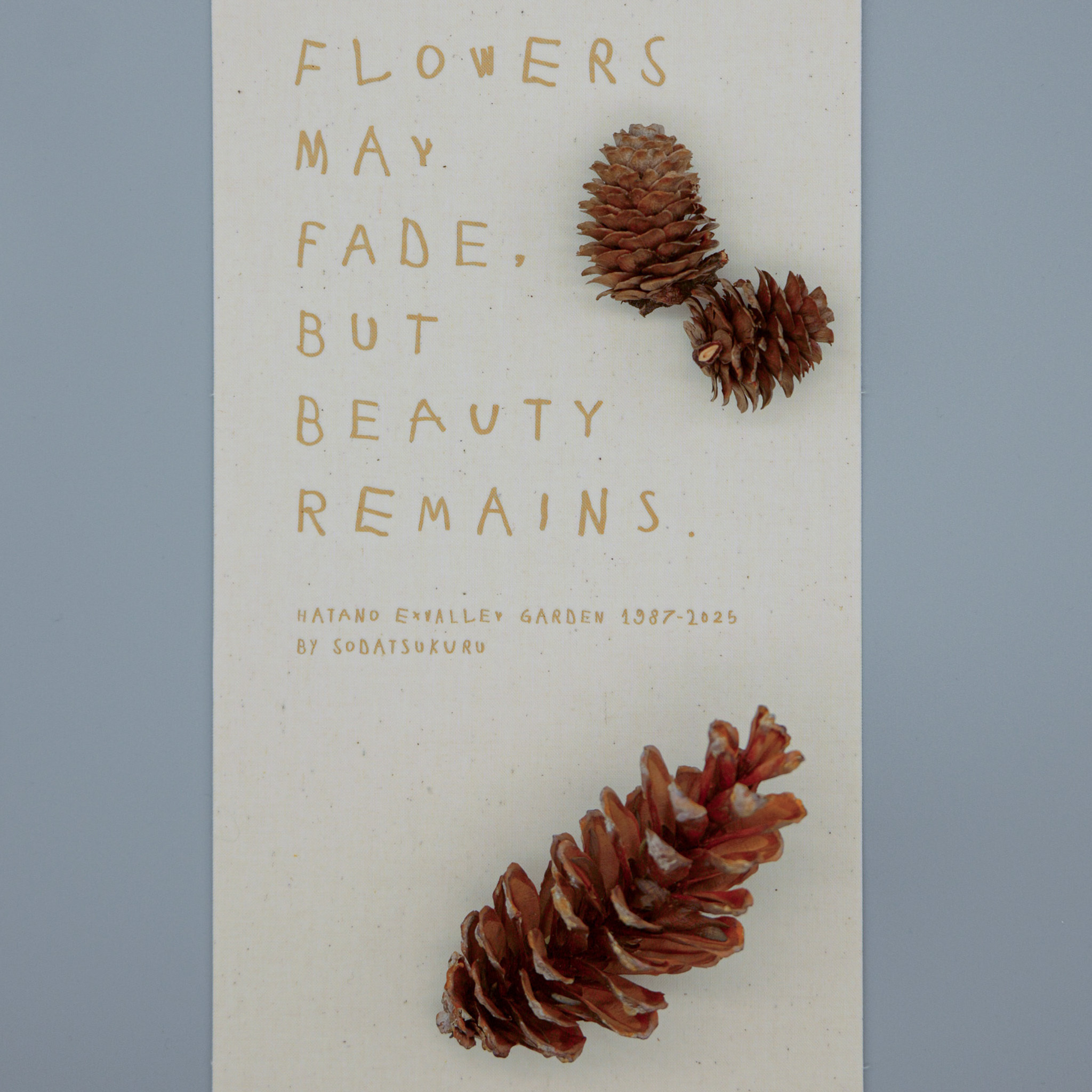 木の実（ランダム）