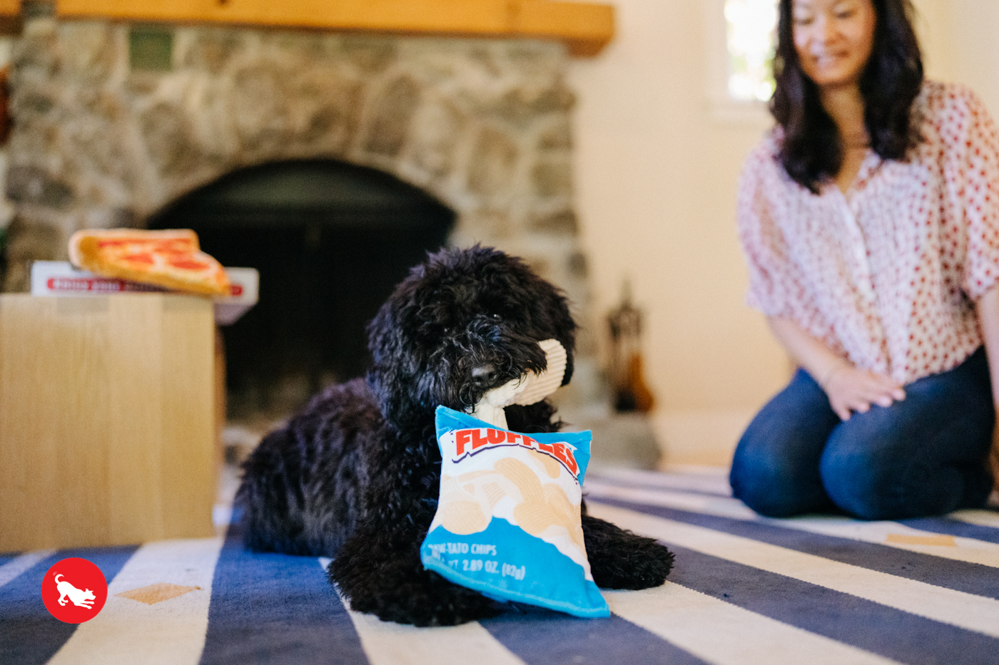 ポテトチップス【P.L.A.Y.スナックアタックシリーズ】犬用おもちゃ Potato Chips Dog Toy 【P.L.A.Y. Snack  Attack Series】 | Sirius Essentials