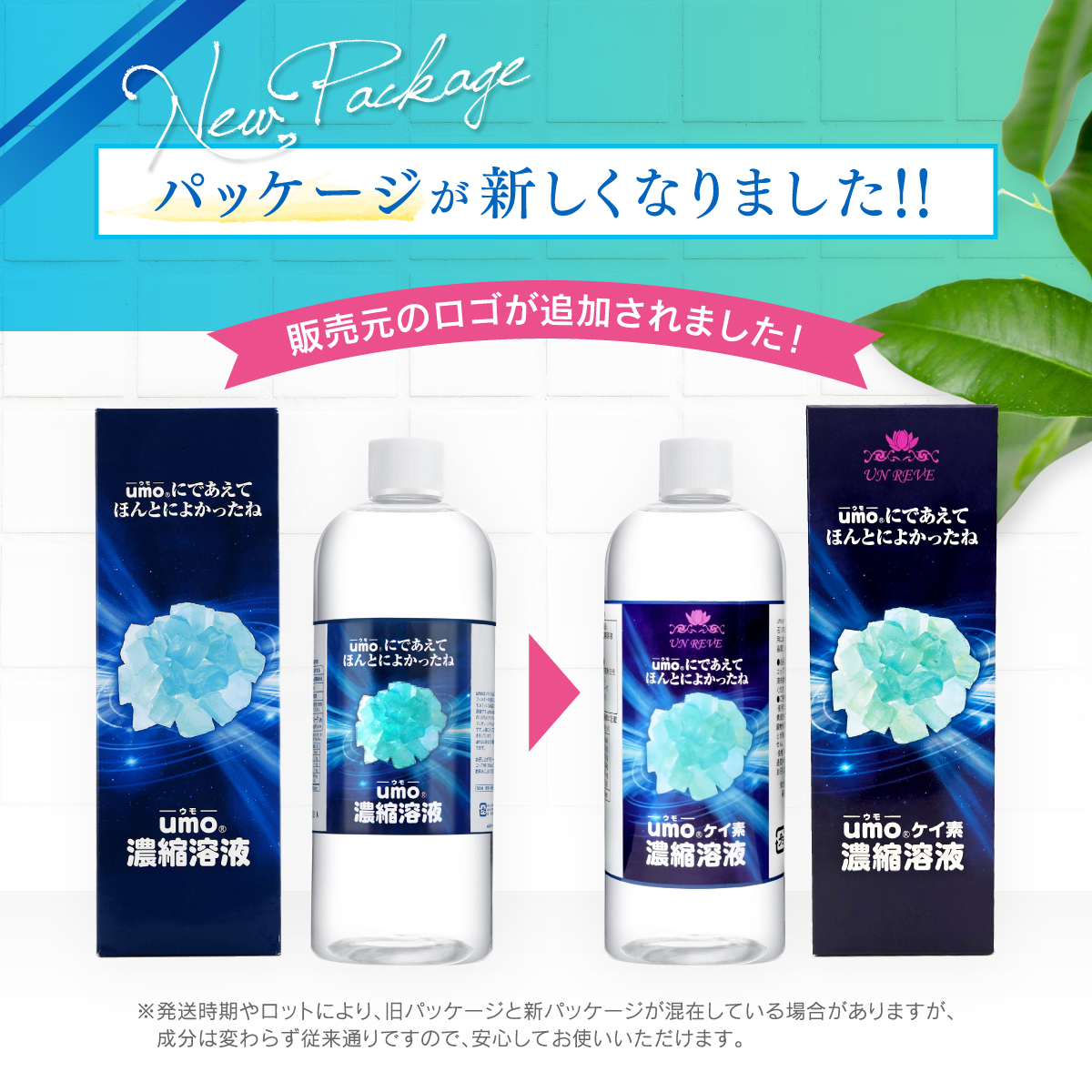 単品購入】【水溶性ケイ素(珪素)サプリメント UMO(ウモ)濃縮 単品購入】【水溶性ケイ素(珪素)サプリメント UMO(ウモ)濃縮