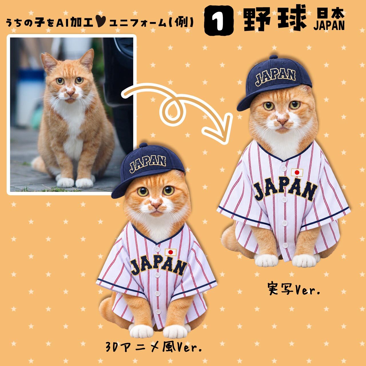 野球ファンの猫さん