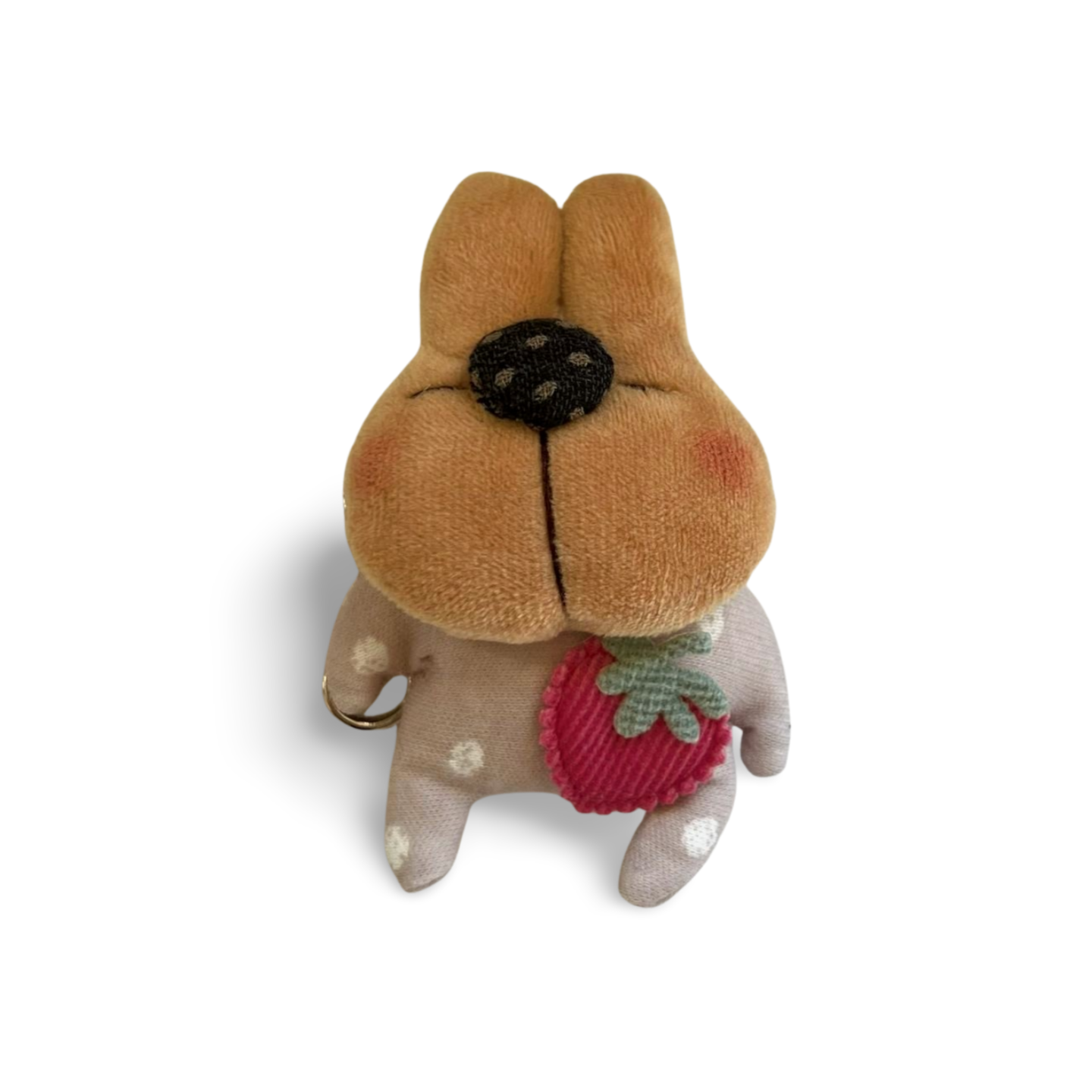 パッションピンクのいちご（正面）