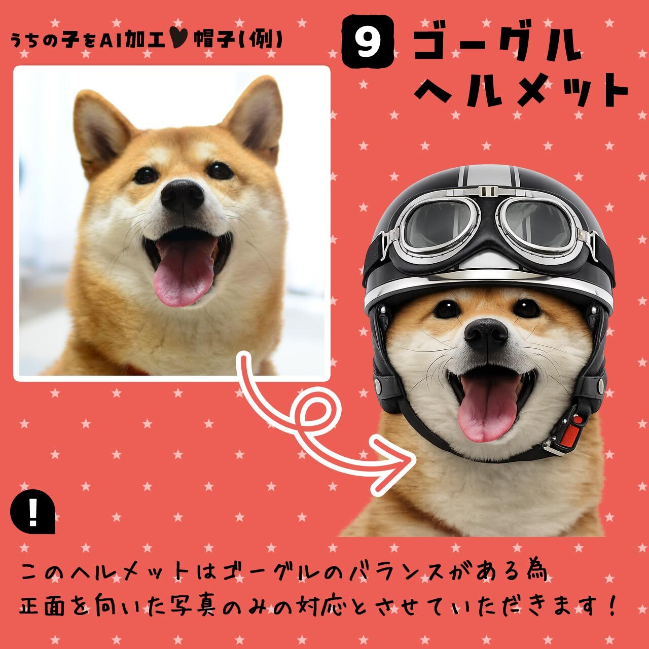 ゴーグルメット★ワンちゃん
