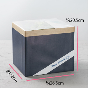 パッケージサイズ