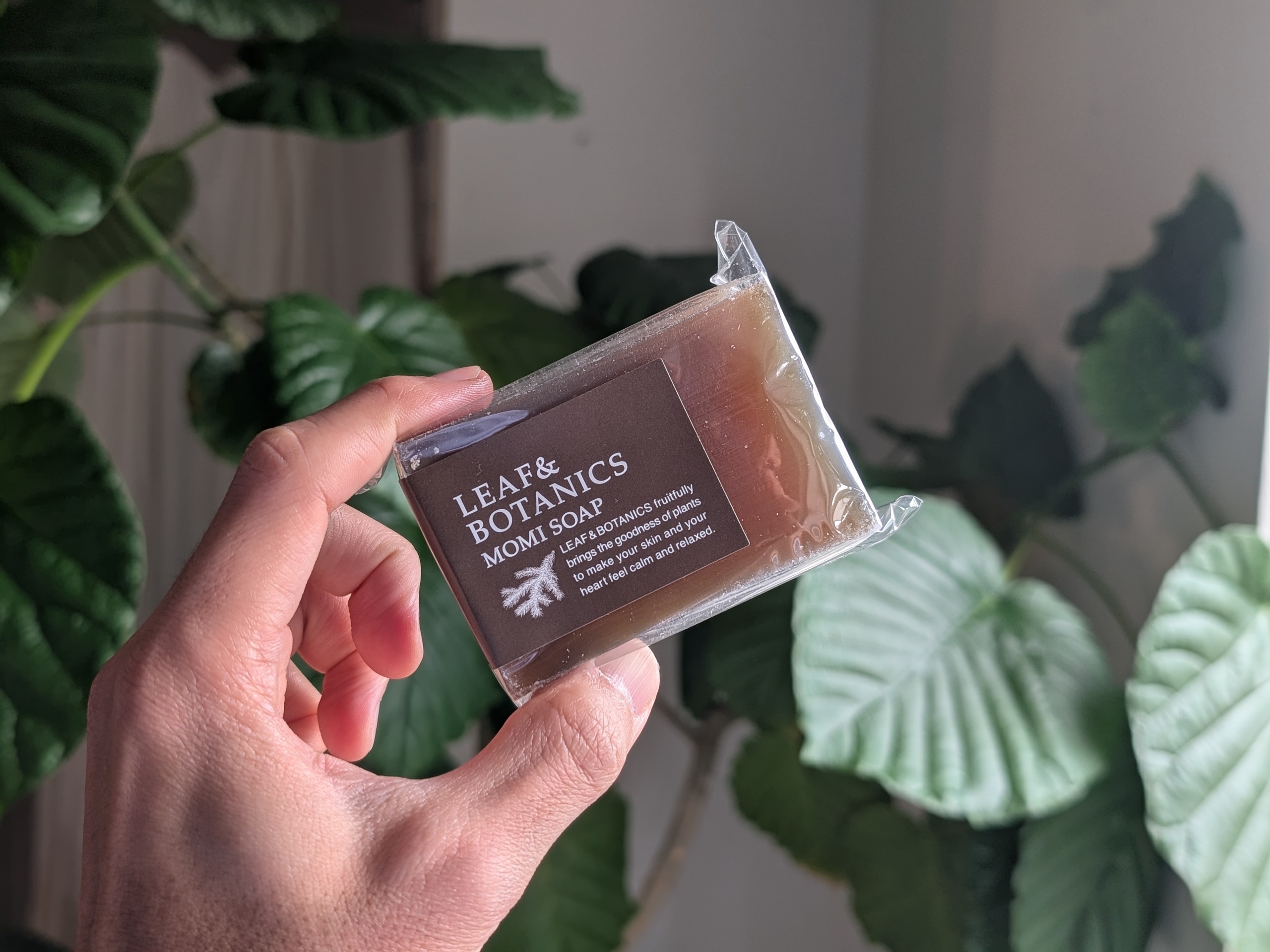 落ち着きのある森林の香り。保湿作用を持ち、乾燥をやわらげます。