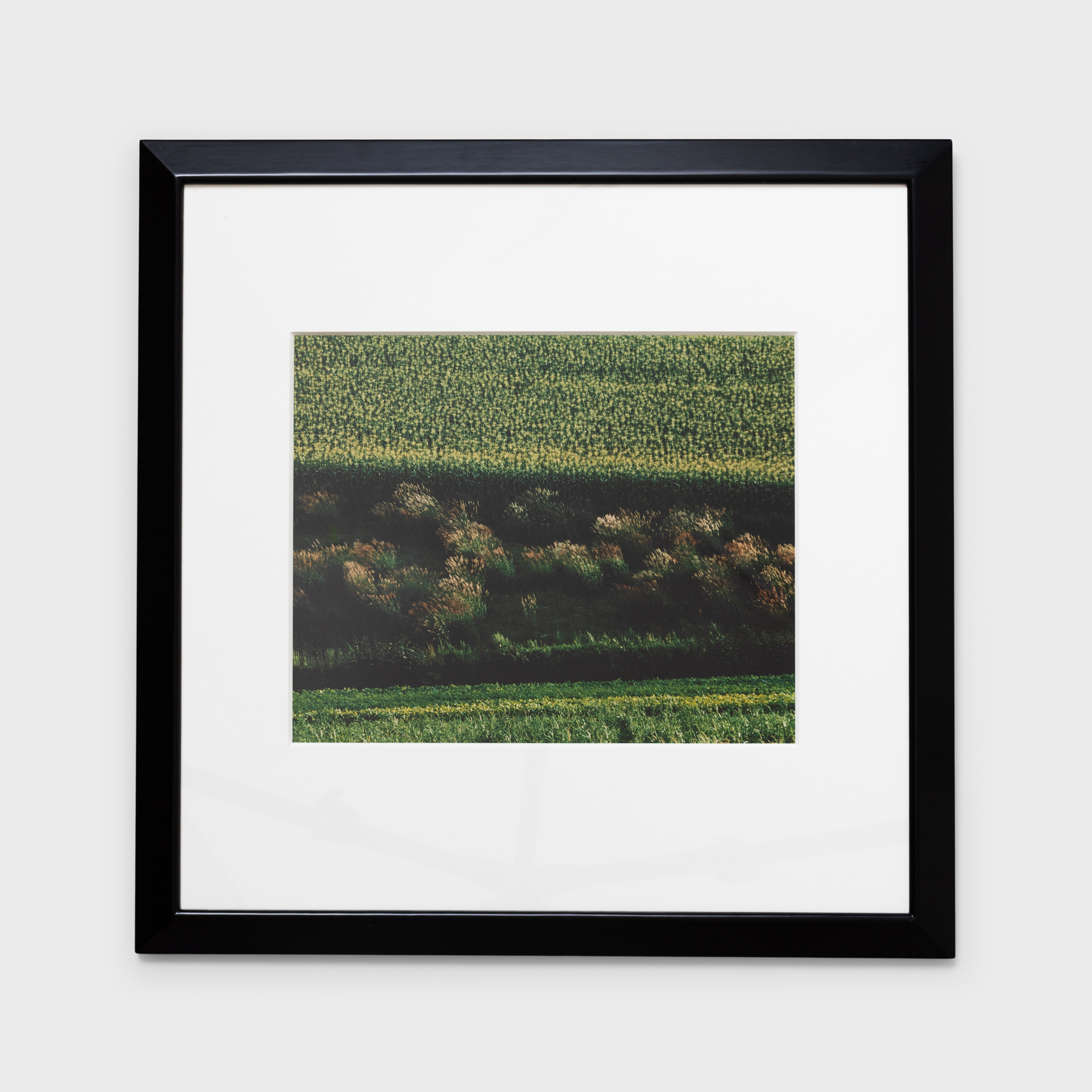 4　斜光の印象　1986年8月下旬　美瑛町