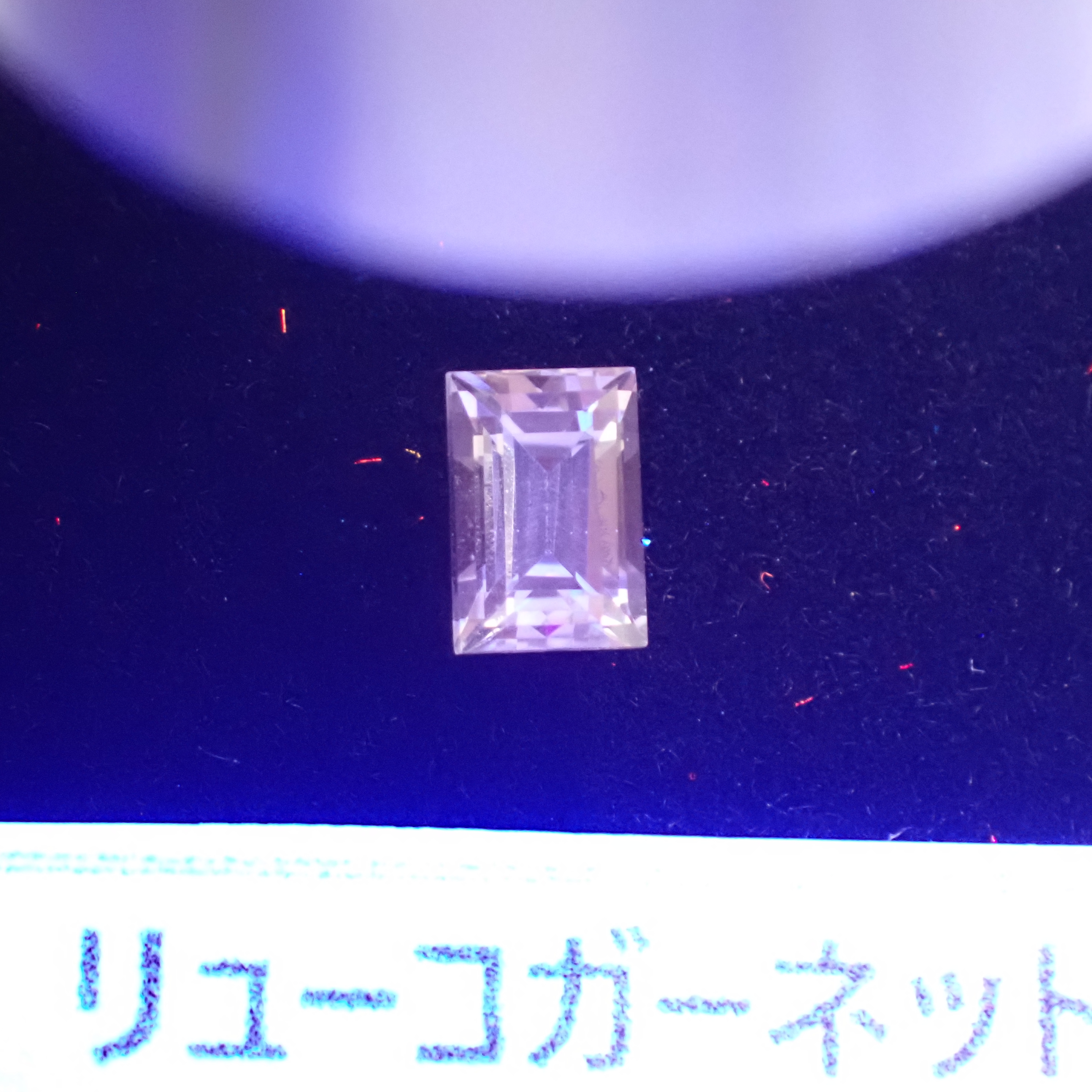 つむりUVライトを当てるとピンクに蛍光反応があります。